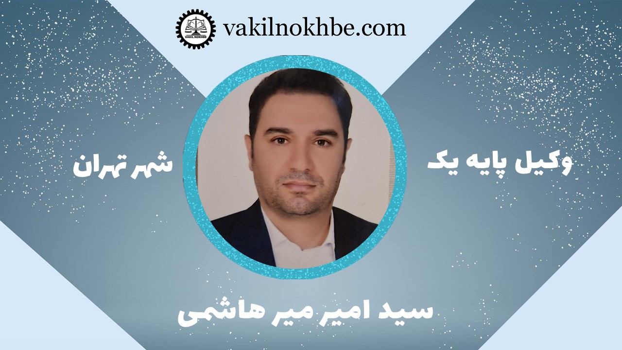 سید امیر هاشمی