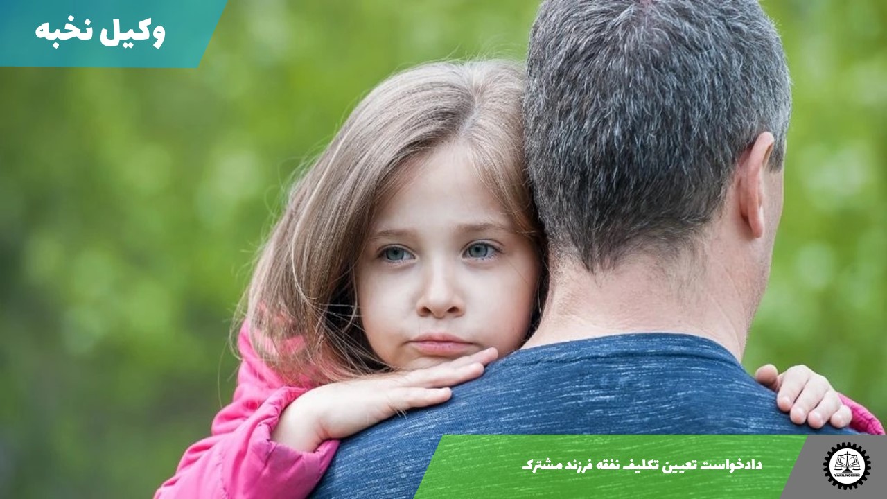 نمونه دادخواست تعیین تکلیف نفقه فرزند مشترک 1405 + فایل pdf و word