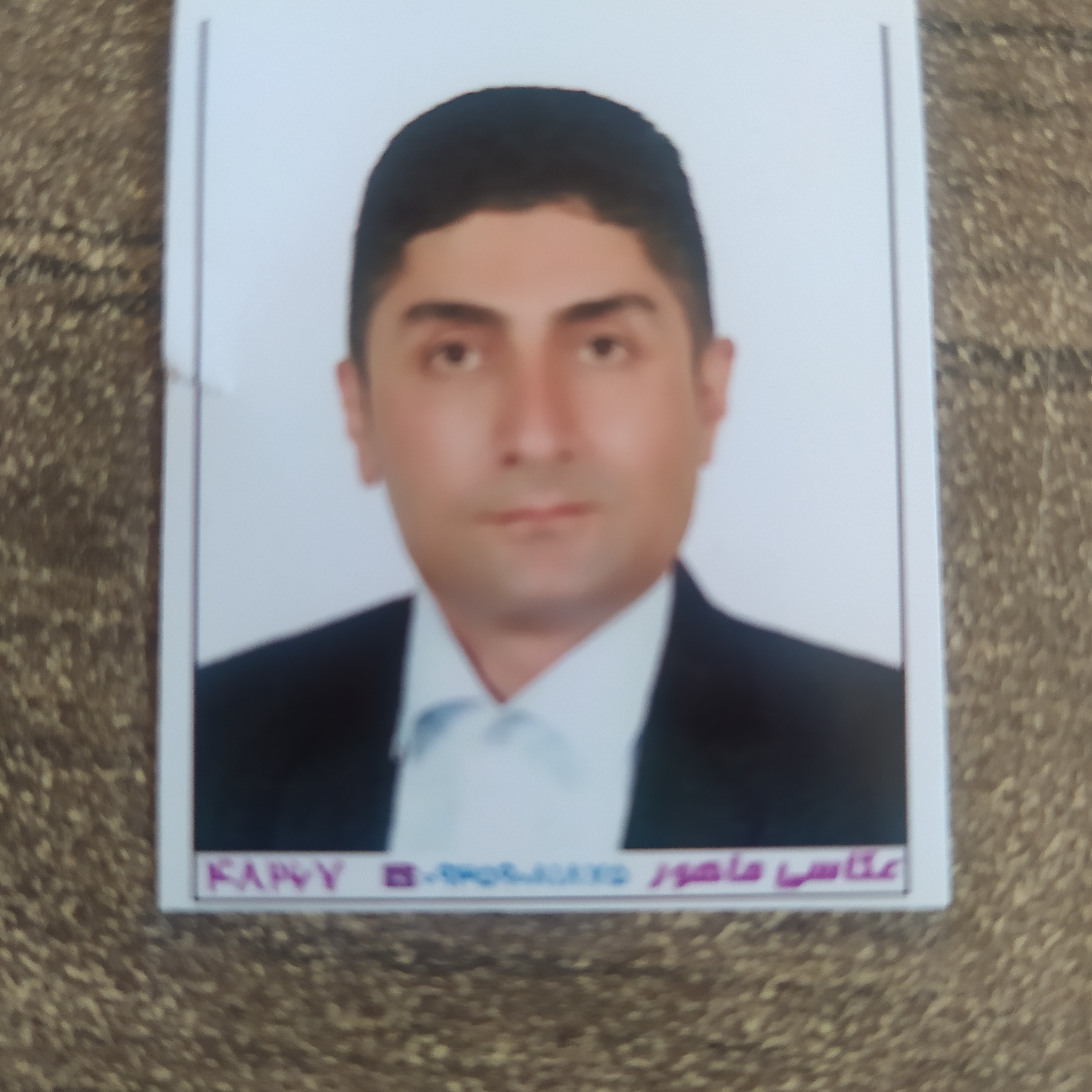 سید مسعود نجیبی